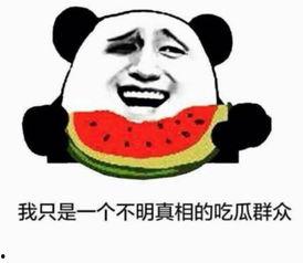 别离吃瓜,一场关于离别与瓜语的趣味之旅