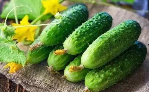 夏吃瓜吃哪些,夏吃瓜，这些瓜类不容错过