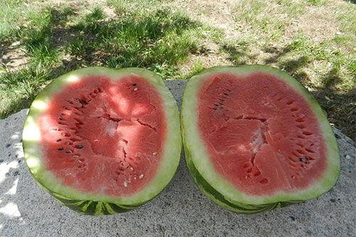 梦见吃瓜丑瓜,瓜果飘香，丑瓜中的神秘启示