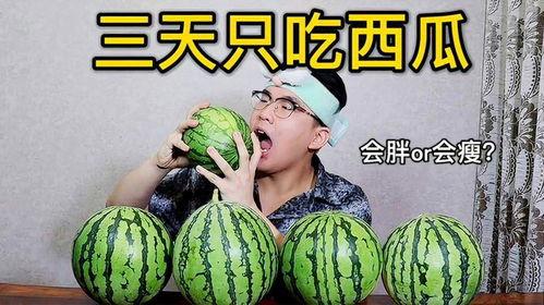 吃瓜帮测试,揭秘你的性格与命运之谜