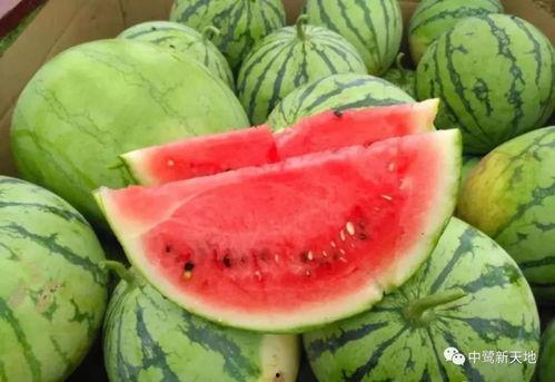 仲夏吃瓜怎么吃,解锁夏日吃瓜新姿势