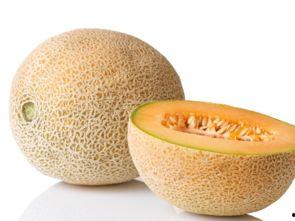 异形吃哈密瓜,一场跨物种的奇幻邂逅