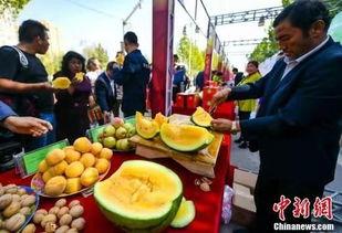 中国吃瓜看欧美热闹,中国吃瓜群众视角下的欧美热点风云