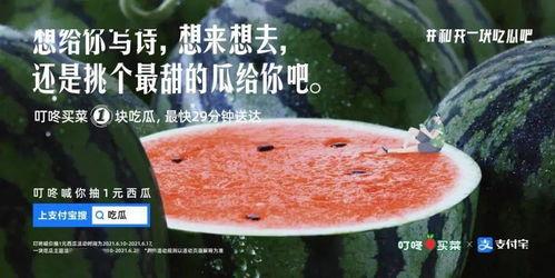 冬季吃瓜文案,冬季吃瓜攻略大揭秘”