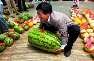 深圳高尔夫圈子吃瓜,揭秘吃瓜背后的精彩故事