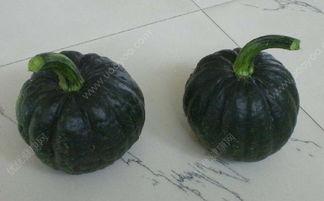 吃方瓜过敏,饮食安全与过敏预防指南