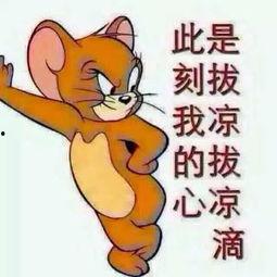 吃瓜群众集锦图片,趣味横生的社会百态缩影