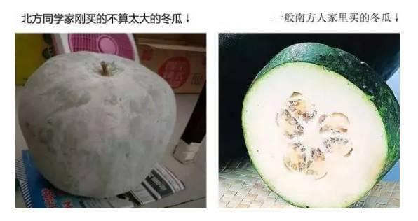 南北差异吃瓜,一瓜之隔，味蕾大不同