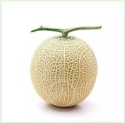 吃瓜陶瓷窝,传统工艺与现代生活的完美融合