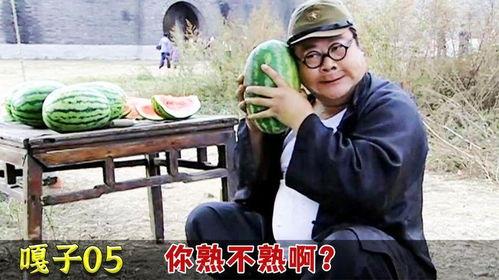 翻译吃瓜 翻案,揭秘“吃瓜群众”背后的真相与反转