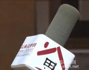 吃瓜群众投诉规定,守护网络环境，共建和谐社区