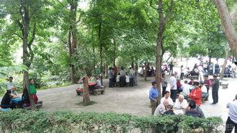 重庆沙坪公园吃瓜,悠闲生活新体验