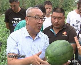 51吃瓜加州博士,揭秘硅谷科技圈的幕后故事