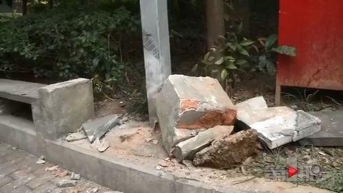 车村镇吃瓜,瓜香四溢，品味乡村田园生活