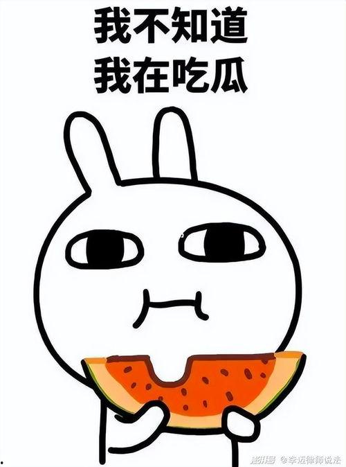 吃瓜阿哞,揭秘娱乐圈背后的那些事儿