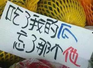 回家吃瓜文案怎么写,揭秘家庭温馨时刻