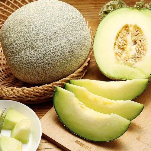 吃蜜瓜轻微过敏可以吃吗,谨慎食用指南