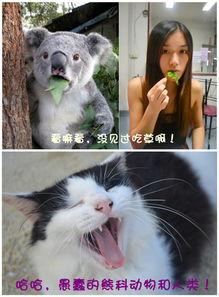 带你吃瓜稀奇古怪,吃瓜界的稀奇古怪现象大揭秘