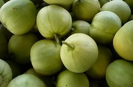 二瓜吃瓜瓜,一场别开生面的瓜界盛宴