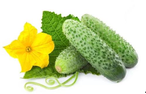 林音吃瓜系统,揭秘娱乐圈幕后真相