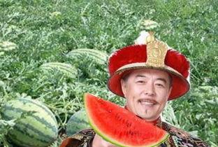 乾隆出巡吃瓜,皇家避暑盛景中的瓜香四溢