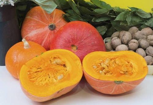 南瓜视频在线吃瓜,在线吃瓜，畅享欢乐时光