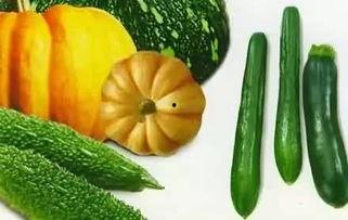 mkd青岛吃瓜,一场别开生面的“吃瓜”之旅