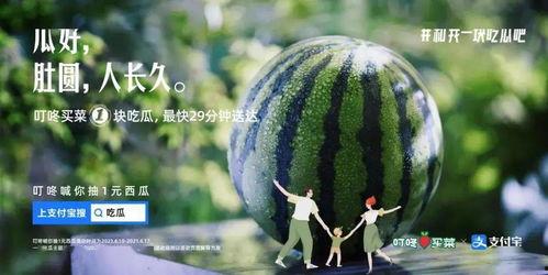 圆圆的吃瓜,揭秘娱乐圈幕后故事