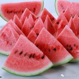 吃瓜群众最佳代表,网络时代的最佳观察者