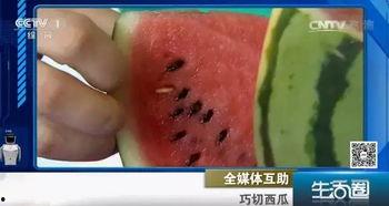 吃瓜不吐籽用户,揭秘网络热议背后的真相与趣味