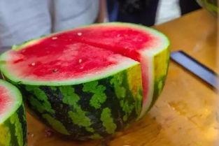 烟台黄金学校的吃瓜,揭秘校园里的“吃瓜”风云