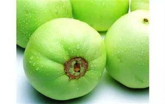 吃瓜连子,揭秘娱乐圈背后的那些事儿