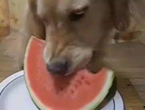 吃瓜小小楠,揭秘娱乐圈幕后故事