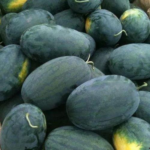 bigmadam吃瓜江,揭秘bigmadam与吃瓜江的瓜界风云