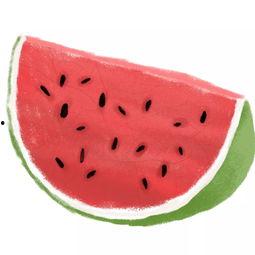 瓜皮联盟吃瓜群众