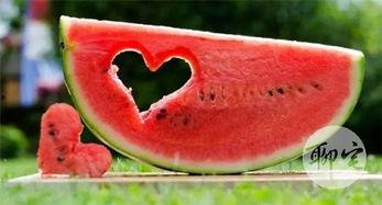 吃瓜免费吃,免费吃瓜，畅享夏日清凉
