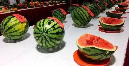 把瓜吃空了,一场别开生面的“吃空”之旅