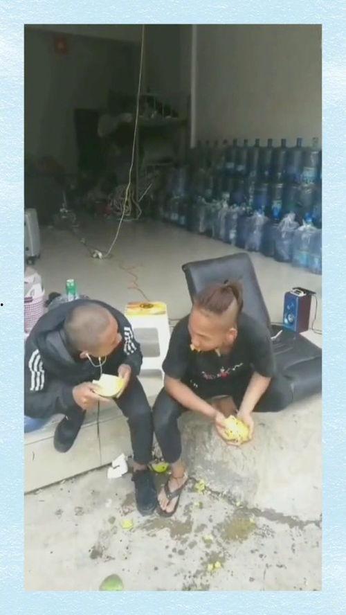 西瓜竞速大赛吃瓜,速度与激情的瓜果盛宴